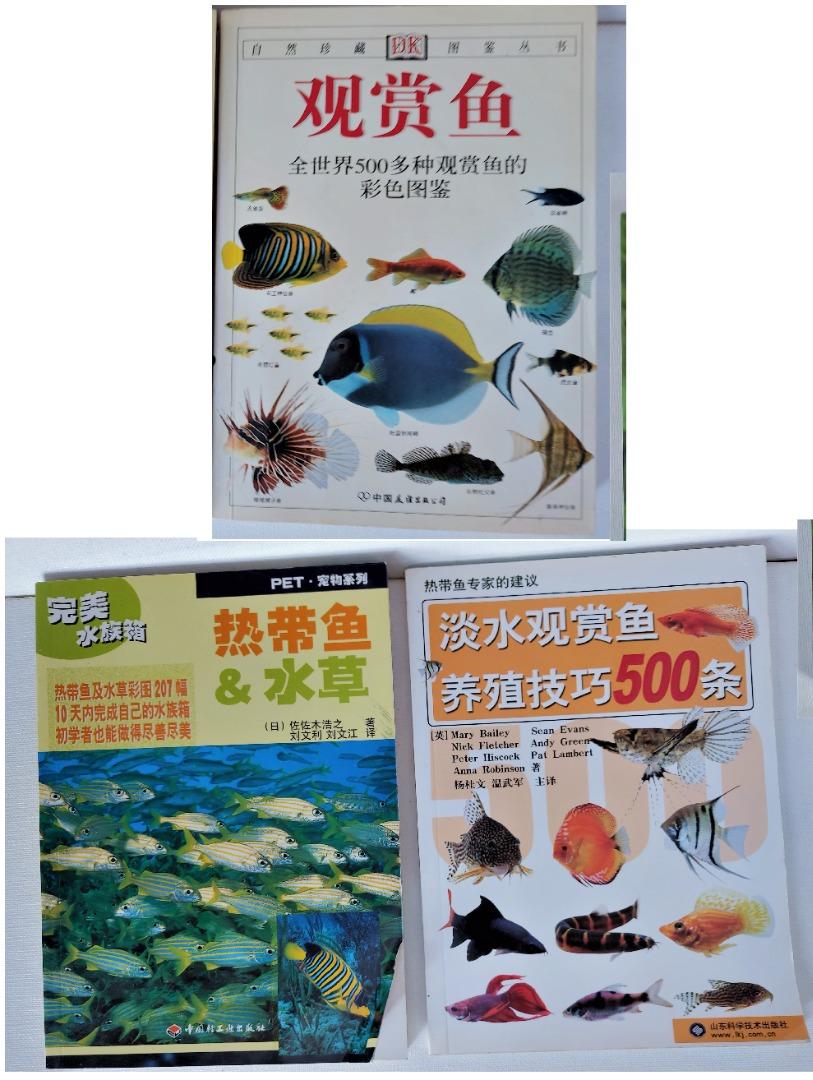 共3本淡水觀賞魚養殖技巧500條完美水族箱水草熱帶魚dk 全世界500種自然珍藏觀賞魚彩色圖鑑寵物出版書日本佐佐木浩之japan Color Topical Fish Tank Fishes