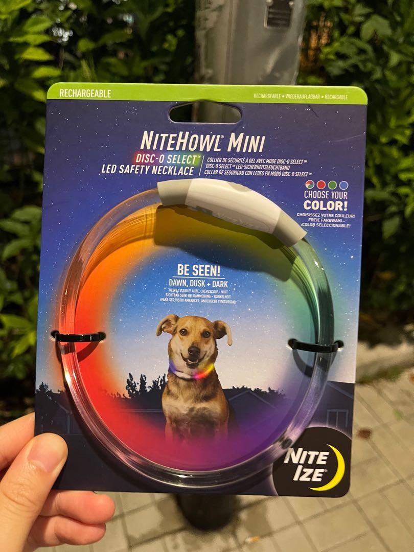 寵物發光頸帶可以變色 寵物用品 寵物家品及其他 Carousell