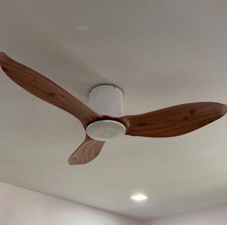 (Category: ) located in . Submitted by AC2009 (Listing ID 1175826996, Image 1). Description: .