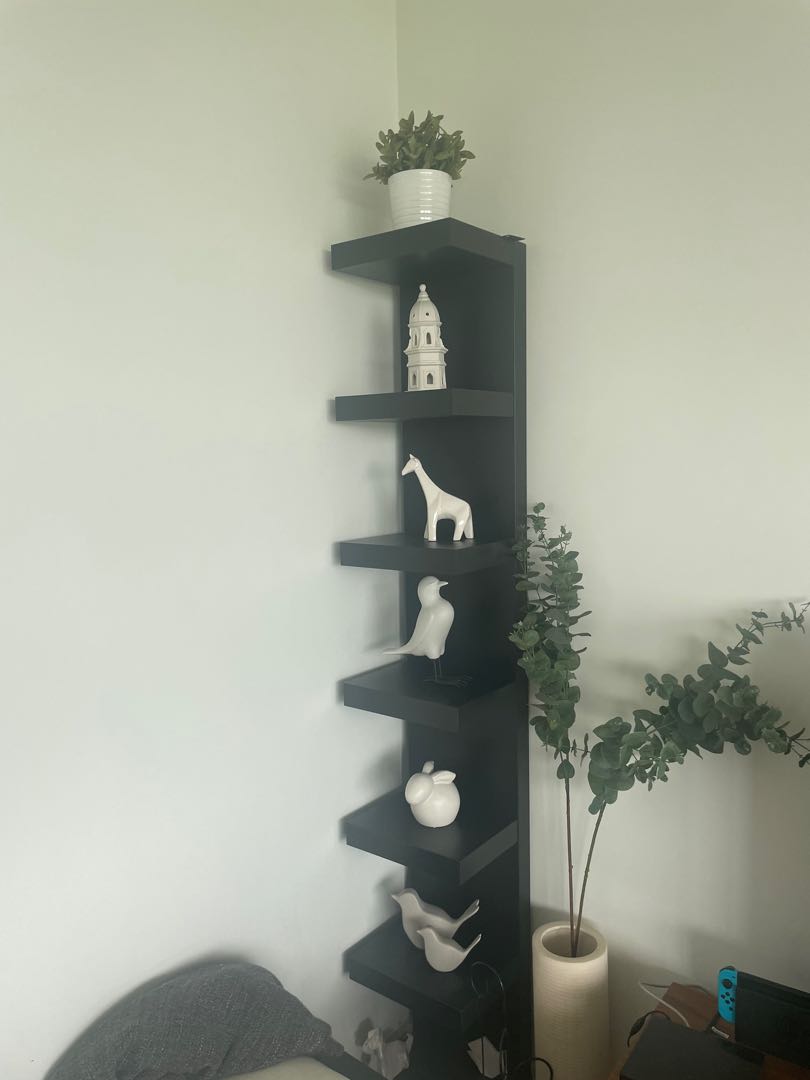 Ikea Bookshelf display, Furniture & Home Living, Furniture, Shelves