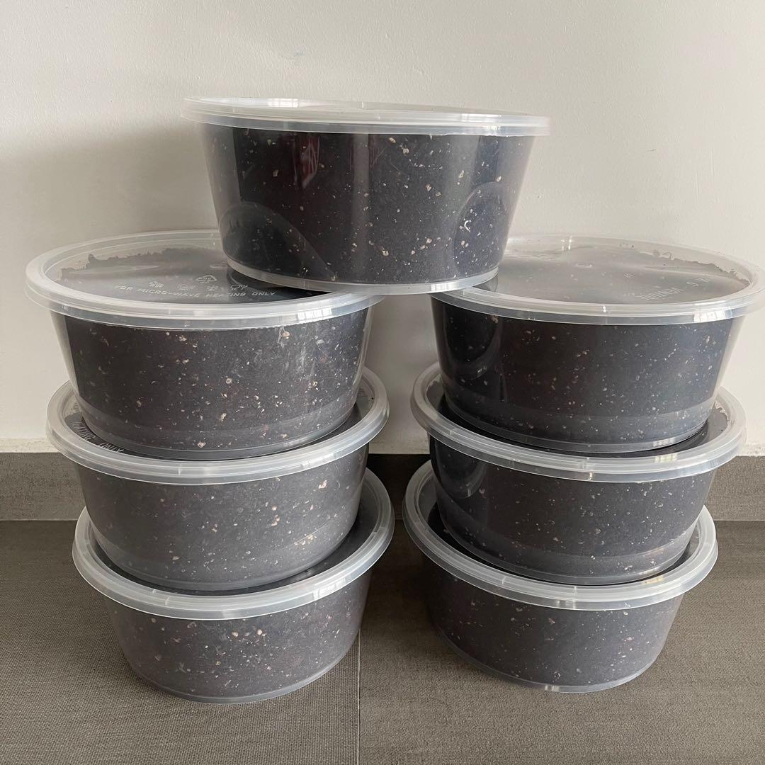 Jiffy Subtrates Mix Grade A Potting Soil 3Litre Box, Furniture & Home