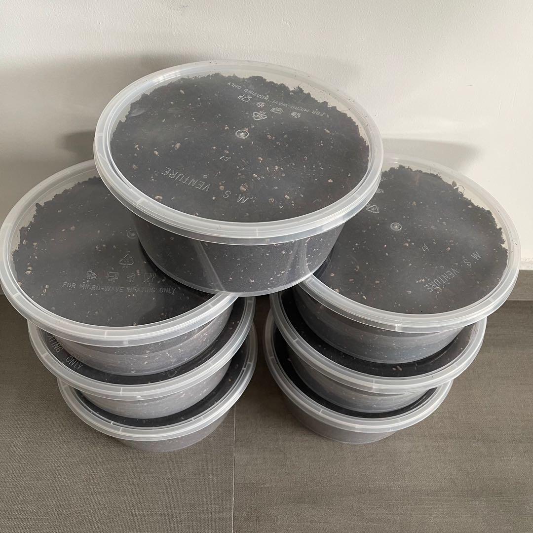 Jiffy Subtrates Mix Grade A Potting Soil 3Litre Box, Furniture & Home