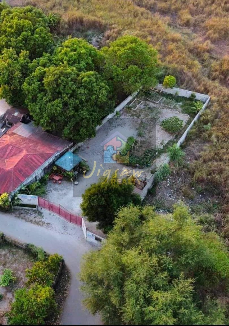 Rush Lot for Sale in Castillejos , Zambales (Gated with Perimeter