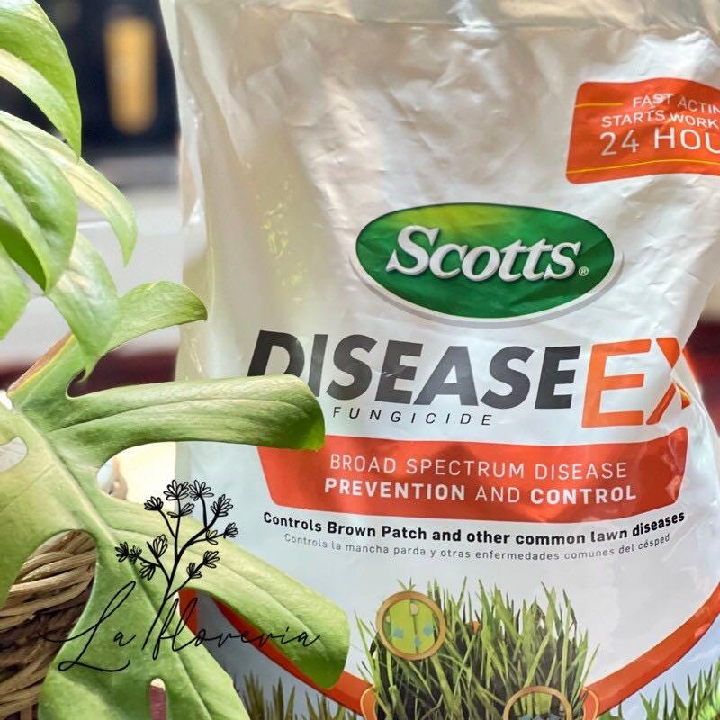 Scotts DiseaseEx, Furniture & Home Living, Gardening ...