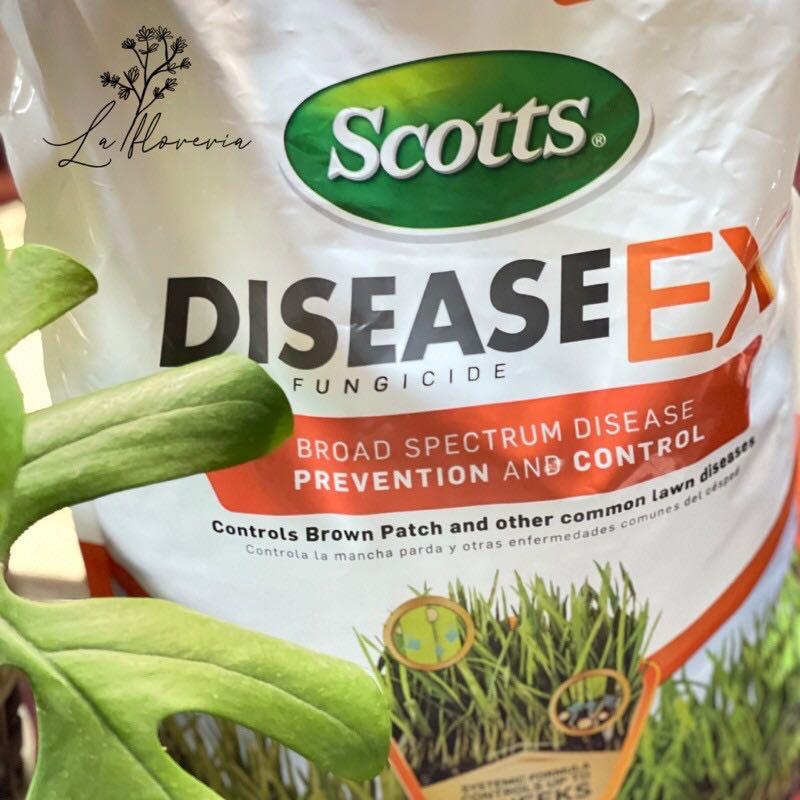 Scotts DiseaseEx, Furniture & Home Living, Gardening ...