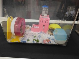 (Category: ) located in . Submitted by babysitter28 (Listing ID 1179146860, Image 1). Description: .