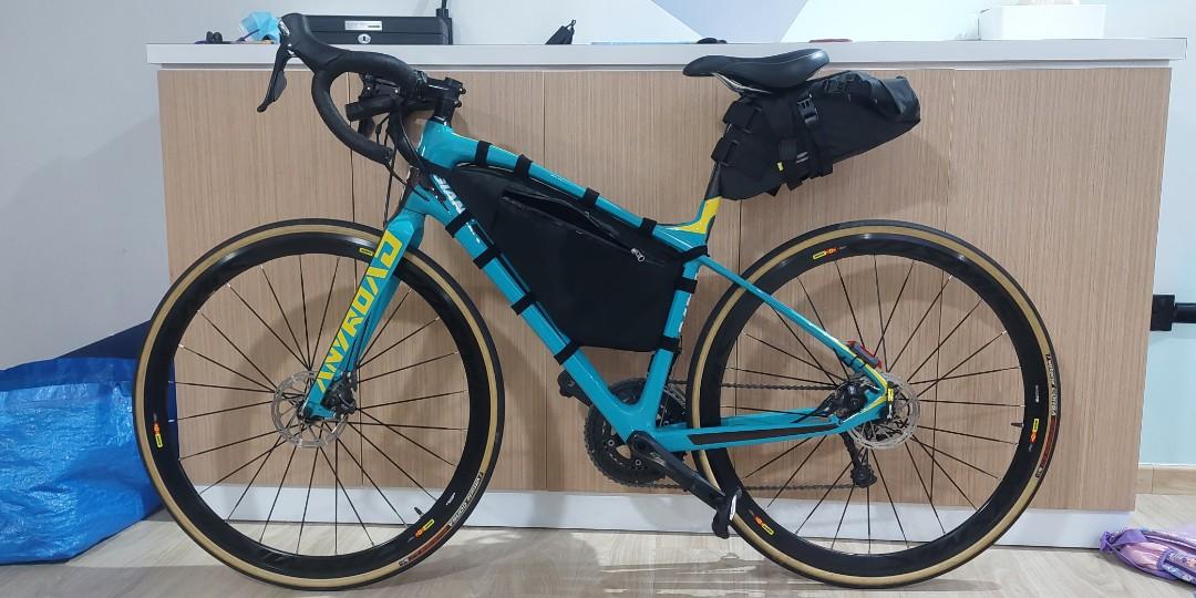 Giant best sale anyroad carbon