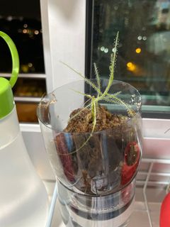 (Category: ) located in . Submitted by primaryassessment (Listing ID 1179214547, Image 1). Description: .