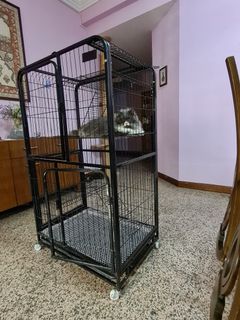 (Category: ) located in . Submitted by vjwarrier25 (Listing ID 1179081384, Image 1). Description: .