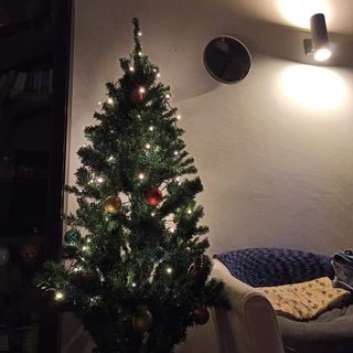 (Category: ) located in . Submitted by roystondclark (Listing ID 1179175797, Image 1). Description: .