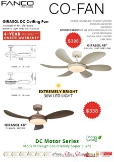 Ceiling Fan Collection item 3