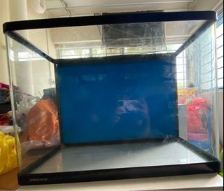 (Category: ) located in . Submitted by arthy_vijayan1 (Listing ID 1178911320, Image 1). Description: .
