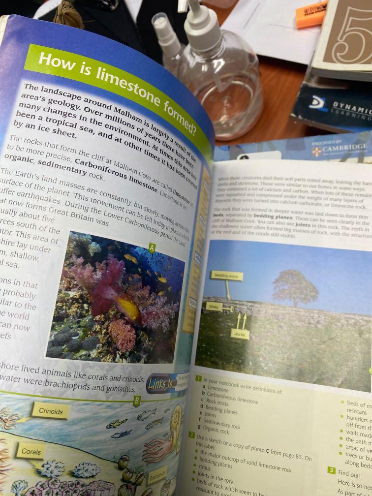 Geography year 8 IGCSE, Hobbies & Toys, Books & Magazines, Textbooks on