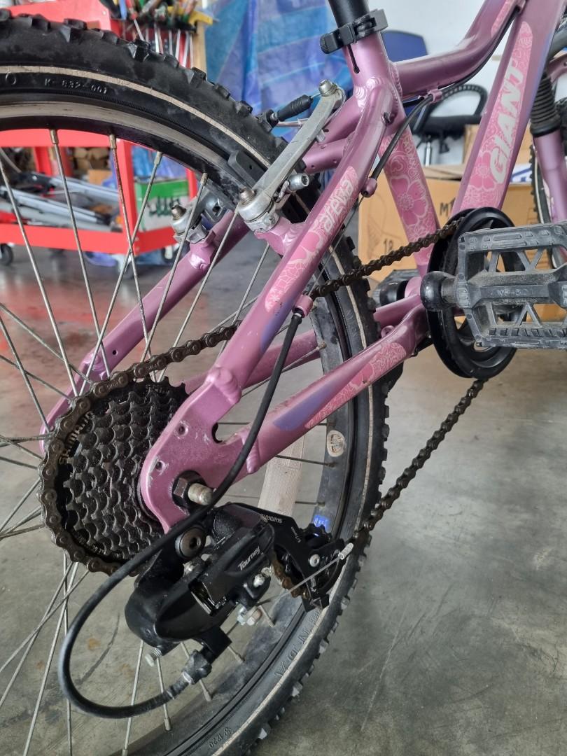 giant areva 20 price