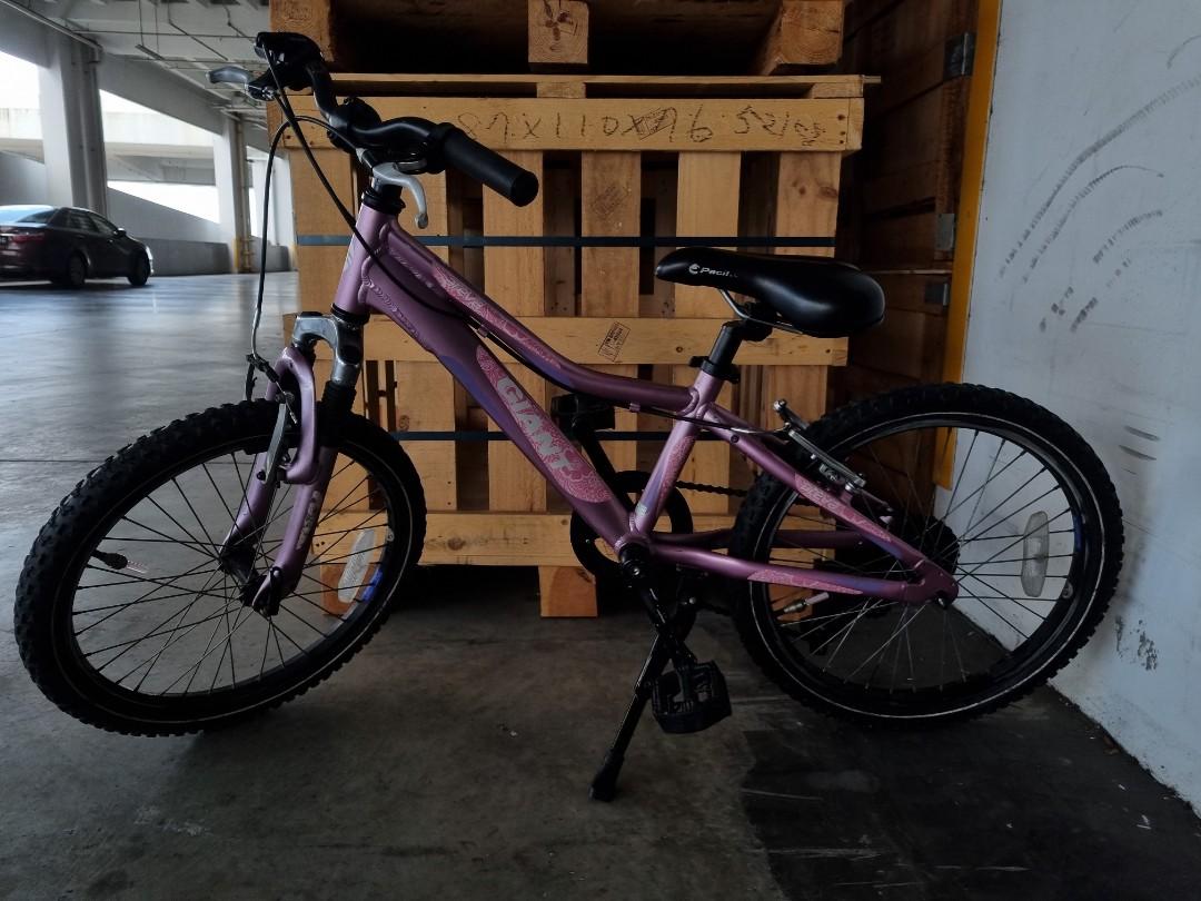 Areva bike new arrivals