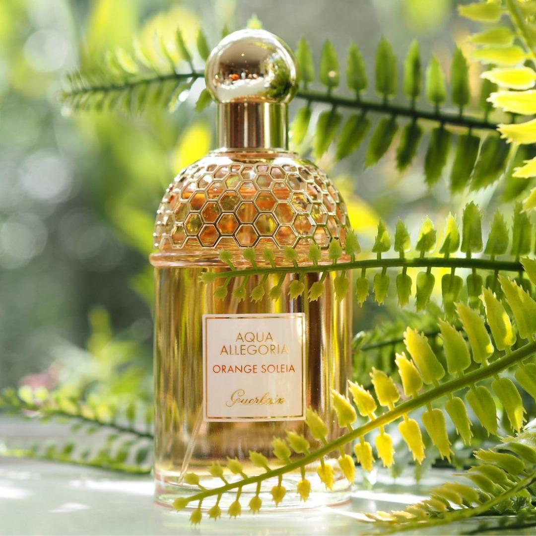 Guerlain aqua allegoria orange soleia eau de toilette 75ml sales