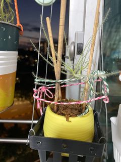 (Category: ) located in . Submitted by primaryassessment (Listing ID 1179208655, Image 1). Description: .