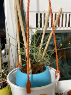 (Category: ) located in . Submitted by primaryassessment (Listing ID 1179208856, Image 1). Description: .