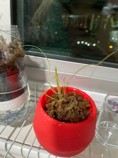 (Category: ) located in . Submitted by primaryassessment (Listing ID 1179214730, Image 1). Description: .
