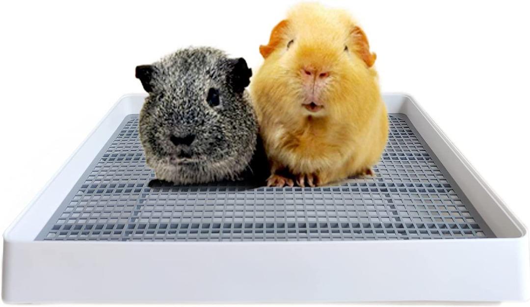 Rabbit Large Litter Box Guinea Pig Training Pan Cage with Toilet