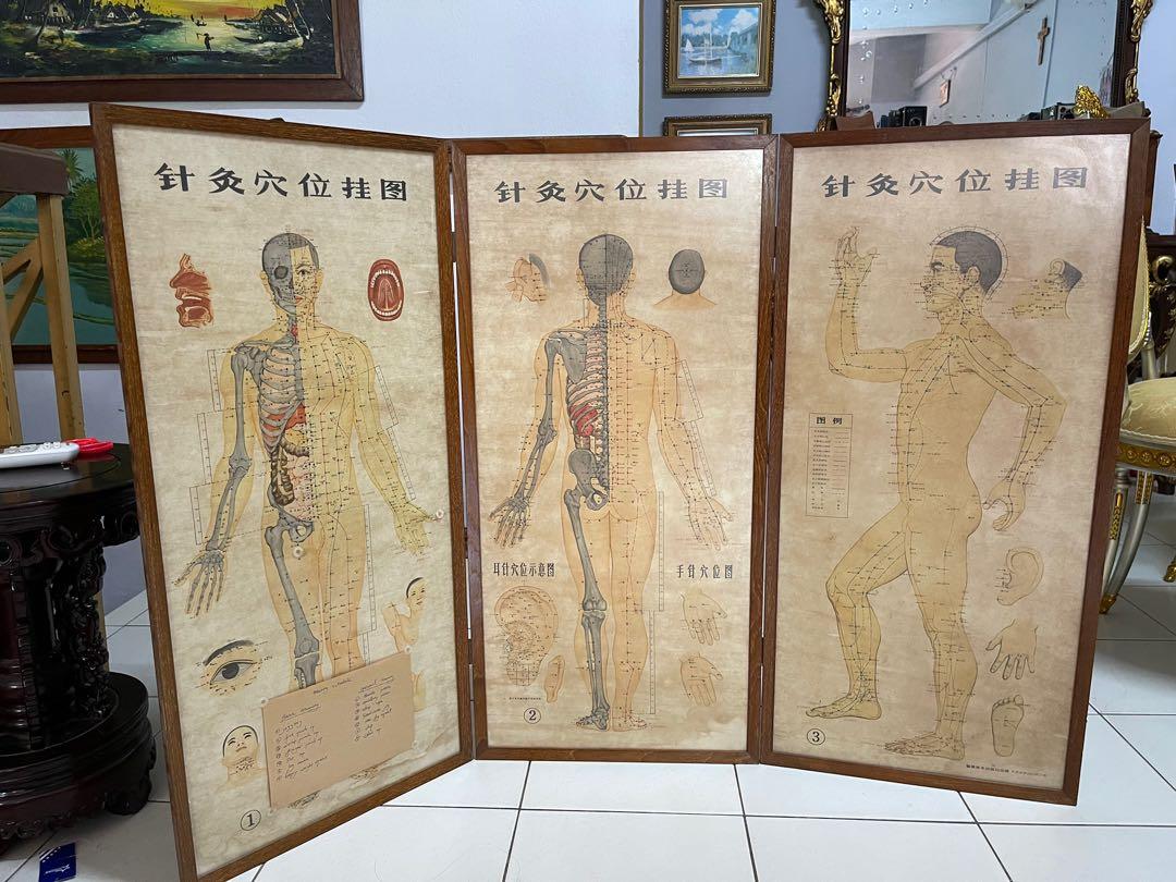 Vintage Acupuncture points wall chart in Burmese teakwood frame