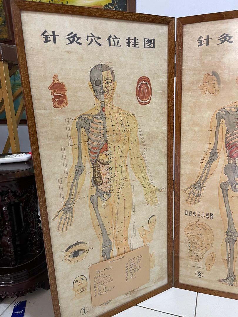 Vintage Acupuncture points wall chart in Burmese teakwood frame