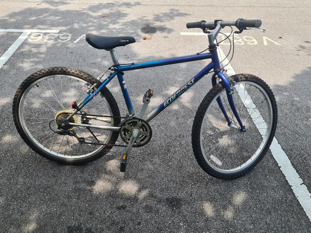 Bridgestone top mountain bike