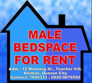 Bed Space for Rent