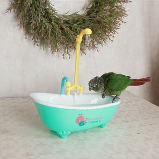 (Category: ) located in . Submitted by petsglam (Listing ID 1179392146, Image 1). Description: .