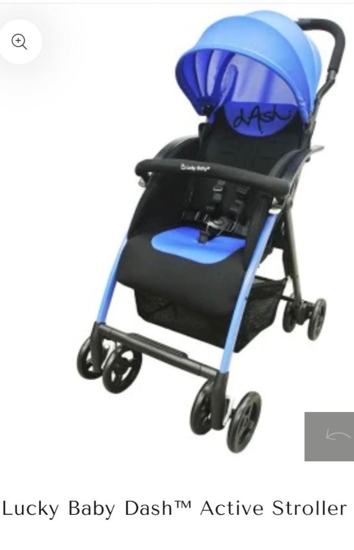 Dash stroller online