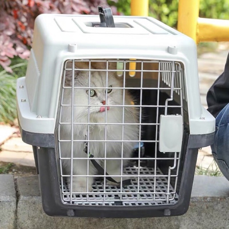 Cat carrier 3 sizes Standard IATA Compliant Pet Carrier, Pet Supplies