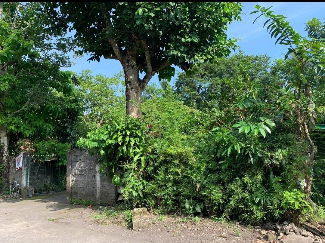 Rush Sale Cruzada Legazpi Bicol House and Lot for Sale, Property, For