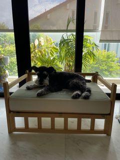 Dog bed frame with mattress