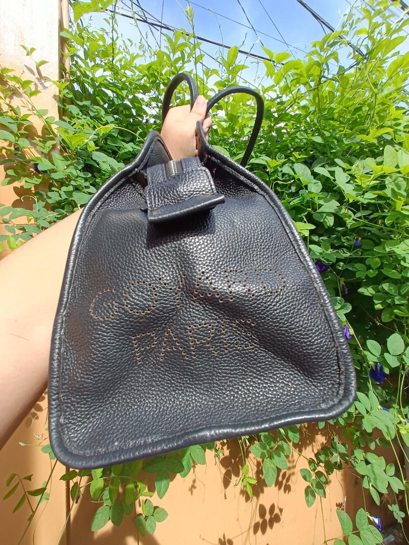 Goyard Paris Pet carrier, Luxury, Bags & Wallets on Carousell