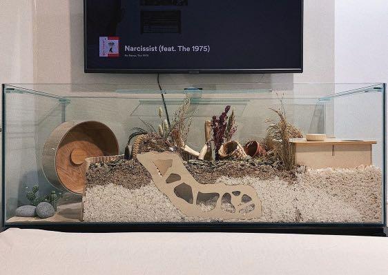 Image showcasing hamster glass aquarium tank with custom lid, Pet Supplies, Homes ...