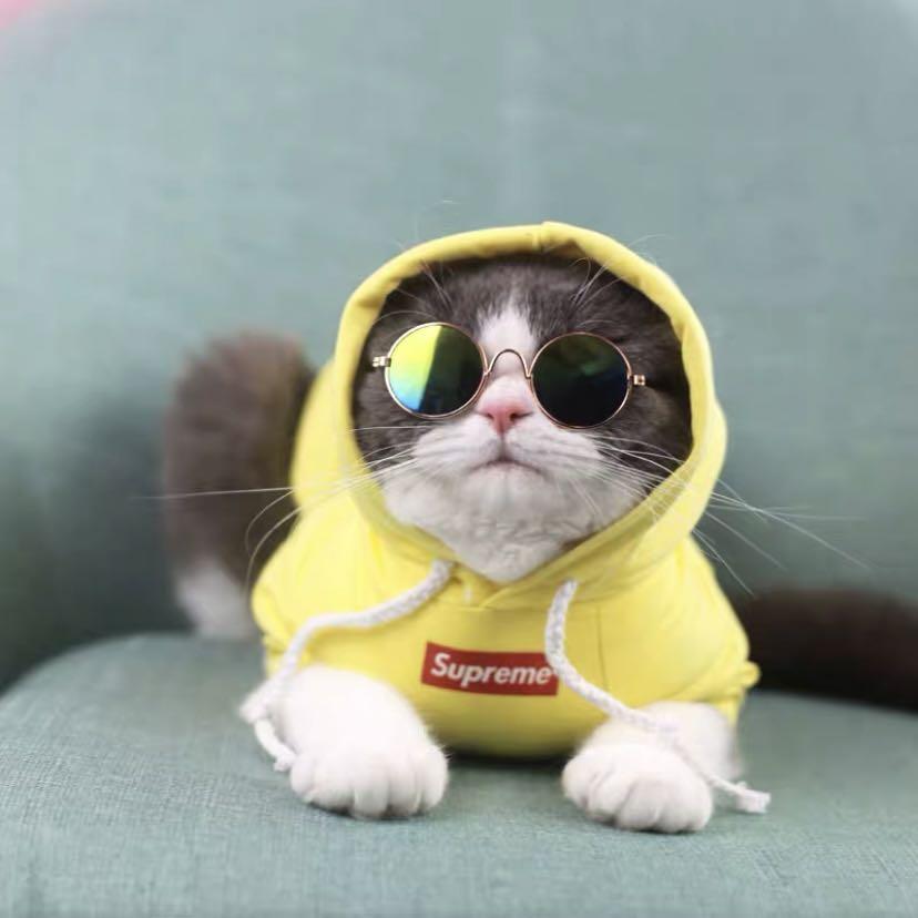 Cat outlet supreme hoodie