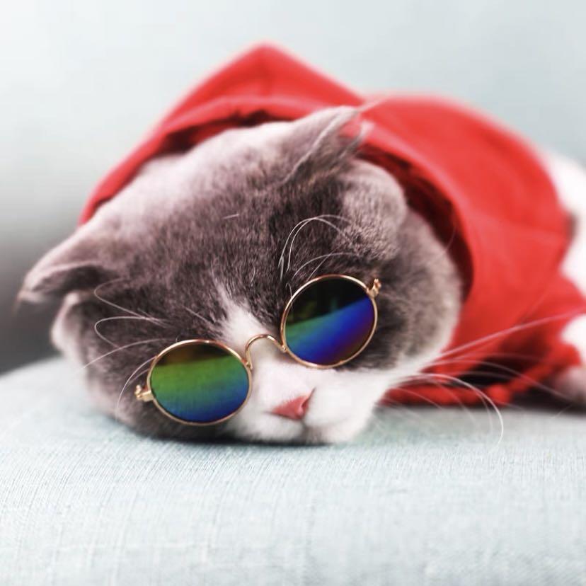 Cat supreme hoodie outlet