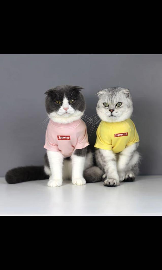 Preorder Cat Supreme Shirt Pet Supplies Homes Other Pet