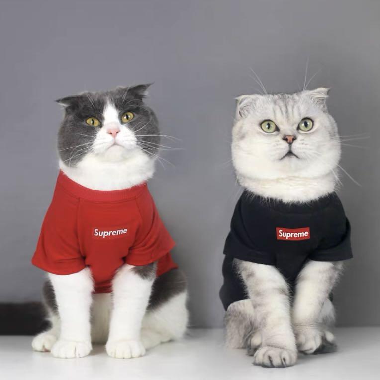 Supreme best sale cat clothes