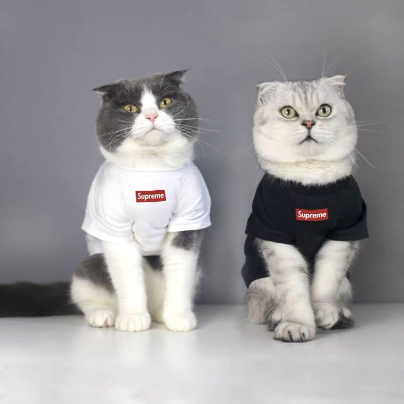 Preorder Cat Supreme Shirt Pet Supplies Homes Other Pet