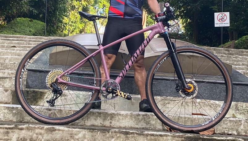Specialized rockhopper dusty best sale lilac