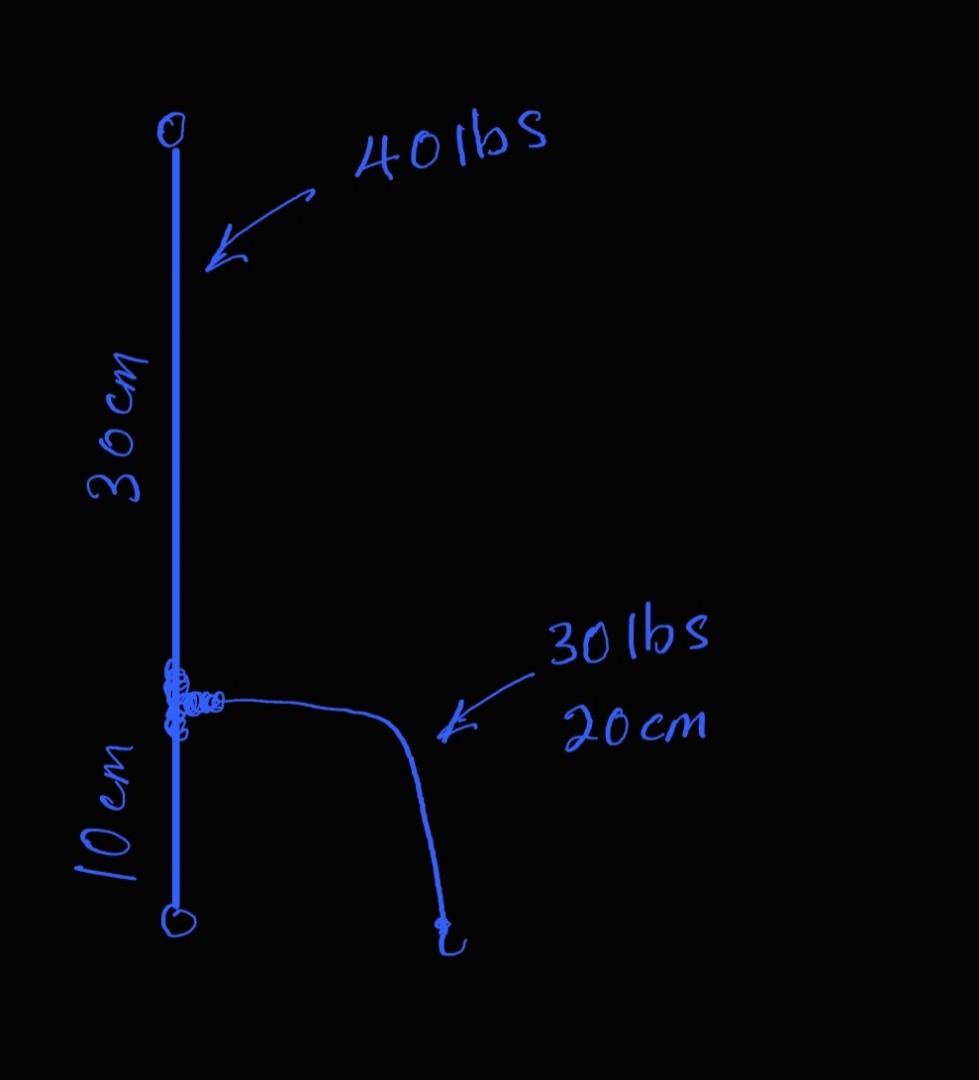 Apollo fishing rigs (430 sets sold), Sports Equipment, Fishing on Carousell