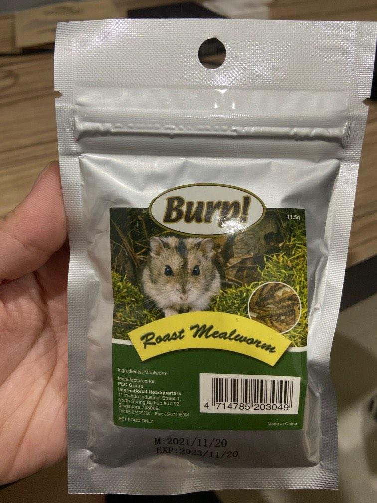 burp roasted mealworms, Pet Supplies, Pet Food on Carousell