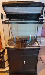 (Category: ) located in . Submitted by e.t0211 (Listing ID 1179528738, Image 1). Description: .
