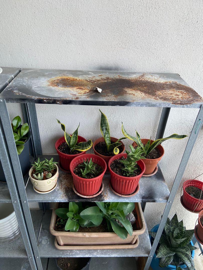 Ikea Rack Garden 2 Racks, Furniture & Home Living, Gardening