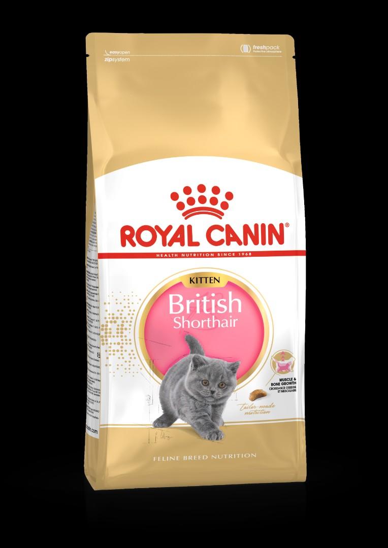 royal canin british shorthair kitten 2kg