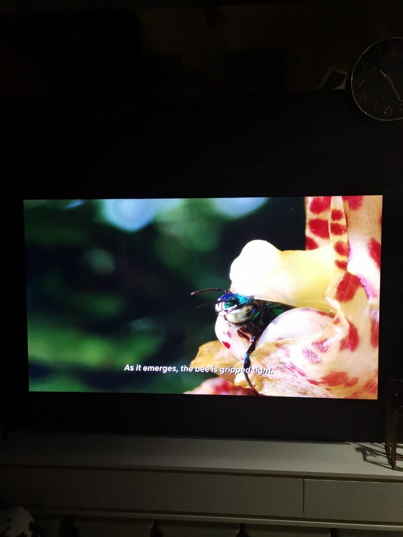 Sony 4K 75 inch Android TV, TV & Home Appliances, TV & Entertainment ...