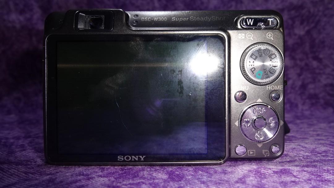 dscw300