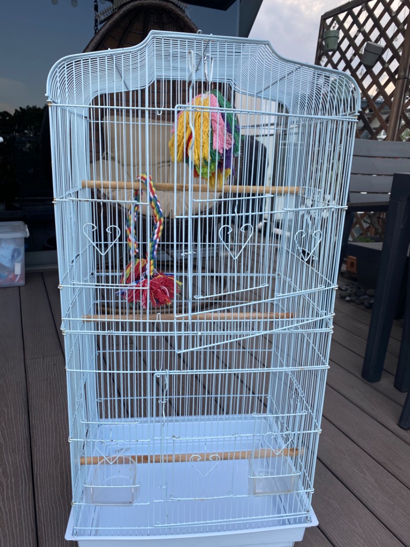 Used cage, Pet Supplies, Homes & Other Pet Accessories on Carousell