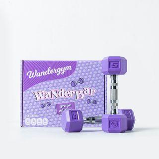 Wandergym 5Lbs Wanderbar Hex Dumbbells- Purple (Product Pull-out